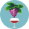 Vinograd